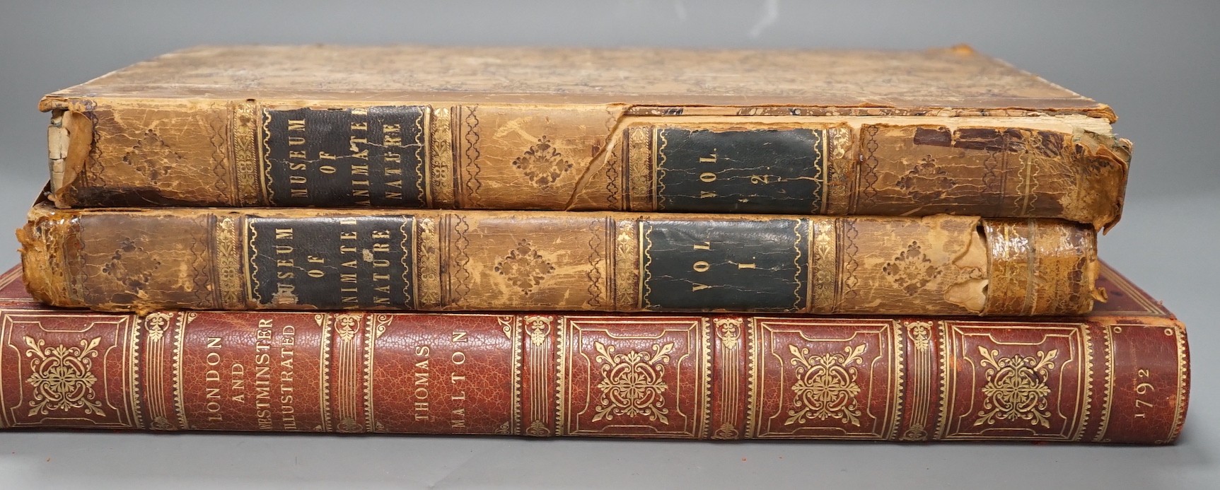 Two volumes of Museum of Animated Nature and a volume of London and Westminster Illustrated